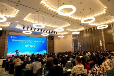 中原數字大腦 河南省級數字經濟研究院成立，引領創業投資新浪潮